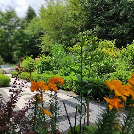 Osada Wasylowka Homestay szállás Laskowa